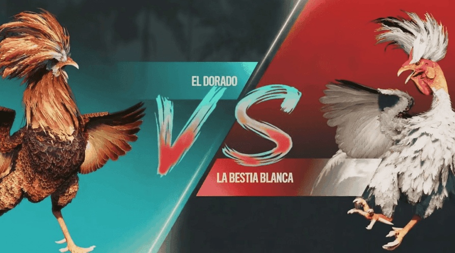 lllbet Brasil Slots de